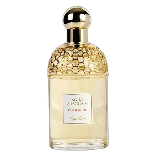 Aqua Allegoria Pamplelune