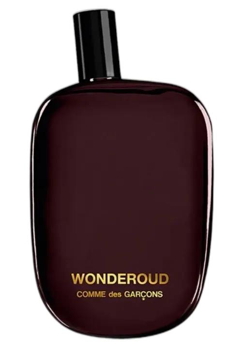 Comme Des Garcons Wonderoud