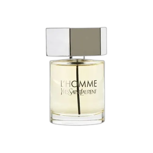 L'Homme Yves Saint Laurent