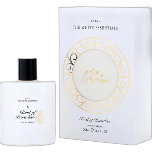The White Essentials Bird Of Paradise