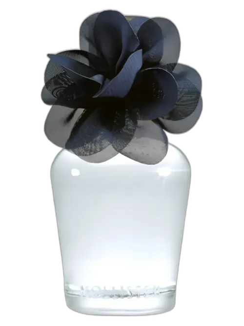 Addison for women