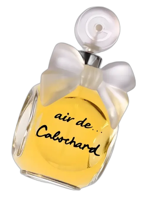 Air de Cabochard Gres for women