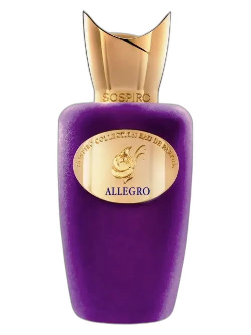 Allegro unisex