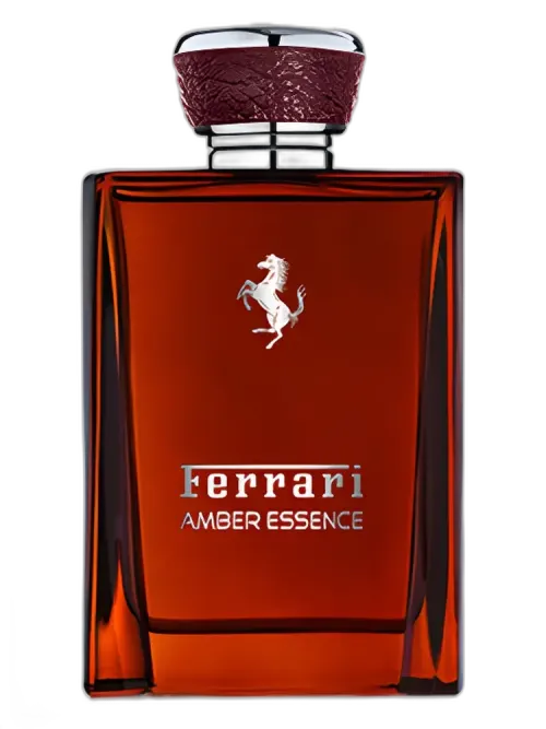 Amber Essence 2016 for men