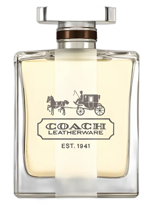 Coach Leatherware for men