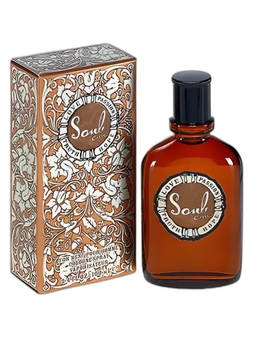 Curve Soul for Men for men
