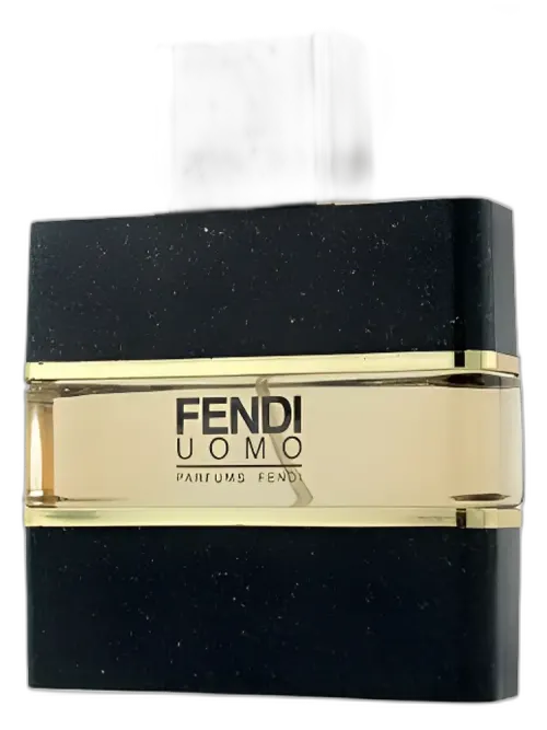 Fendi Uomo for men
