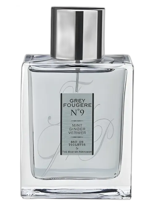 Grey Fougere N9 for men