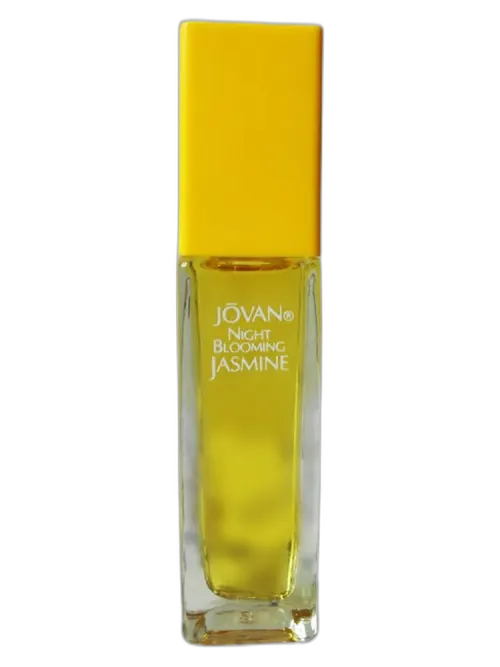 Night Blooming Jasmine for women