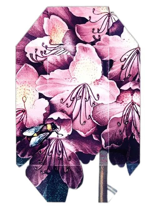 Print Collection Stella 01 2011 for women