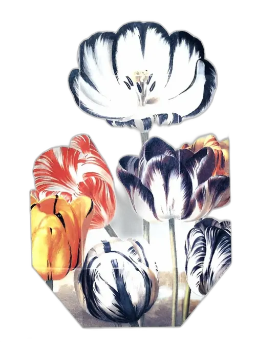 Print Collection Stella 02 2011 for women