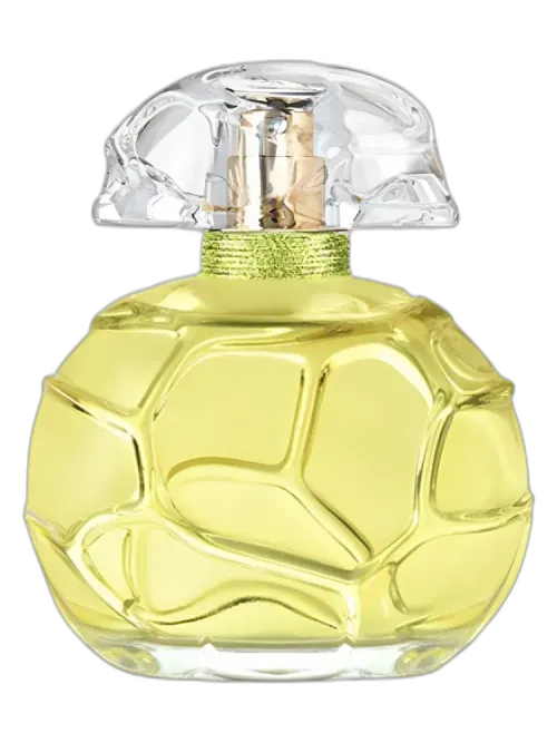 Quelques Fleurs Jardin Secret Extrait for women