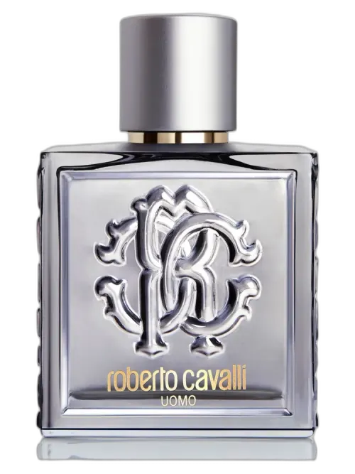 Roberto Cavalli Uomo Silver Essence for men