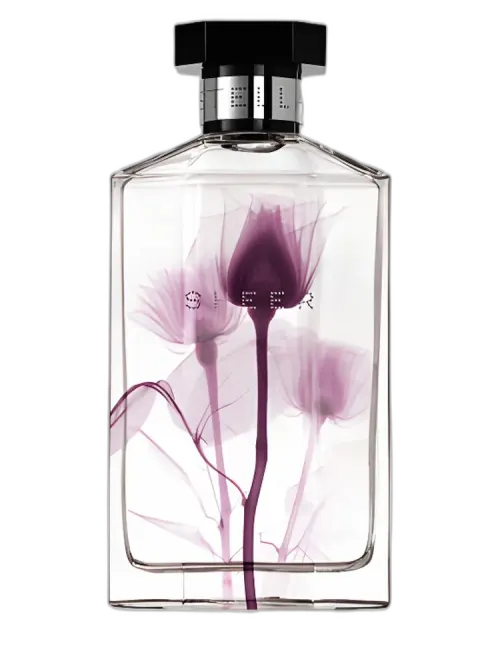 Sheer Stella 2011 for women