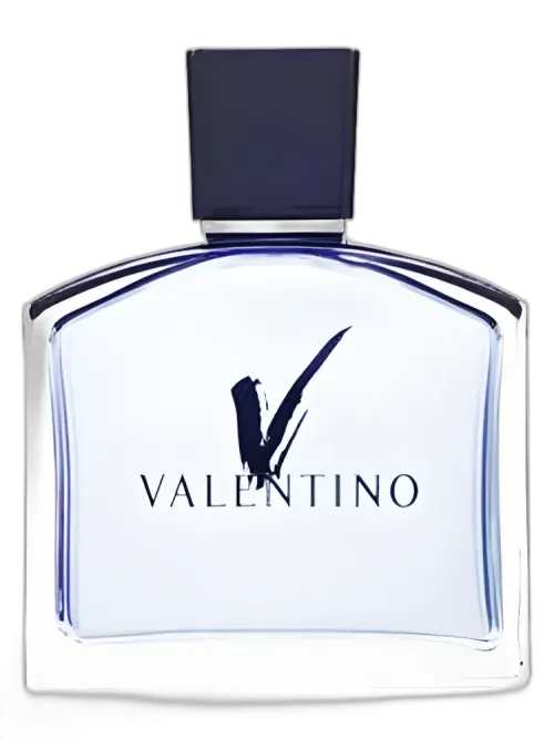 V pour Homme for men